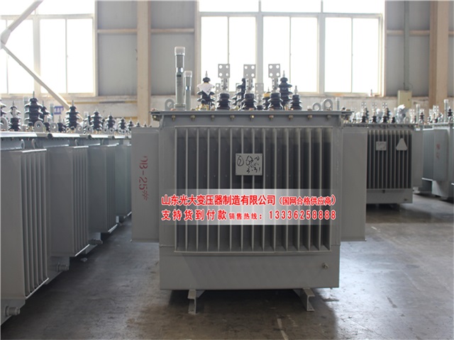 漯河S22-4000KVA油浸式变压器
